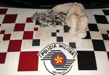 51 invólucros de Maconha é localizado por crianças dentro de Urso de Pelúcia em Dracena