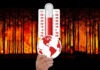 Paulicéia; o El Niño, a Crise Climática e nós: uma voz que (re)clama entre o Cerrado e a Mata Atlântica (Prof. Me. Victor Hugo)