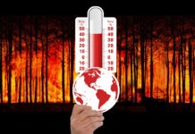 Paulicéia; o El Niño, a Crise Climática e nós: uma voz que (re)clama entre o Cerrado e a Mata Atlântica (Prof. Me. Victor Hugo)