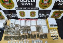 Polícia Civil desarticula “CASA BOMBA” e apreende grande quantidade de Drogas em Dracena